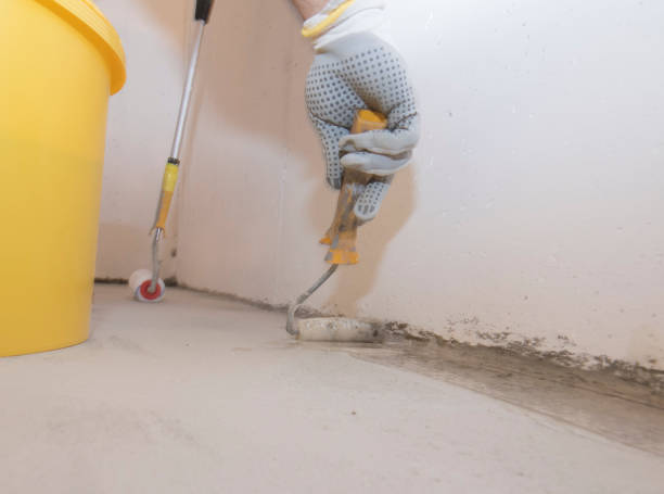 Best Termite Inspection and Treatment  in Goldthwaite, TX